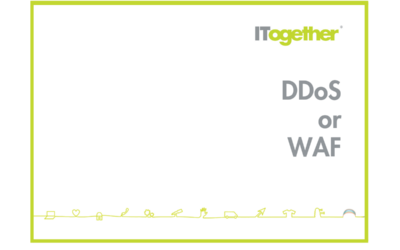 Why you should not buy Incapsula DDoS or WAF