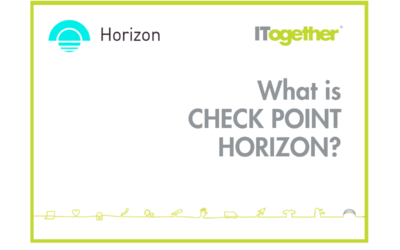What is Check Point Horizon?