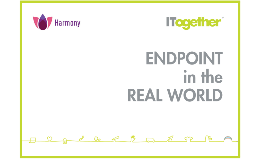Check Point Harmony Endpoint in the real world