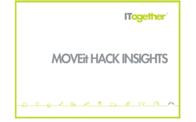 Learning from the MOVEit Transfer Hack: A Story of Cyber Threats and Resilience