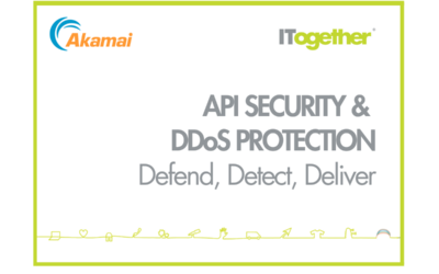 Proactive API Security & DDoS Protection with ITogether Professional Services 