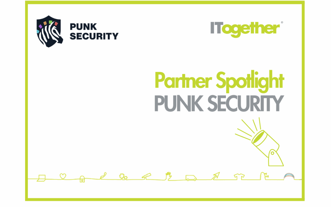 We are Proud to Partner with Punk Security
