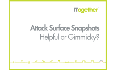 Attack Surface Snapshots: Useful Cyber Insight or Sales Gimmick?
